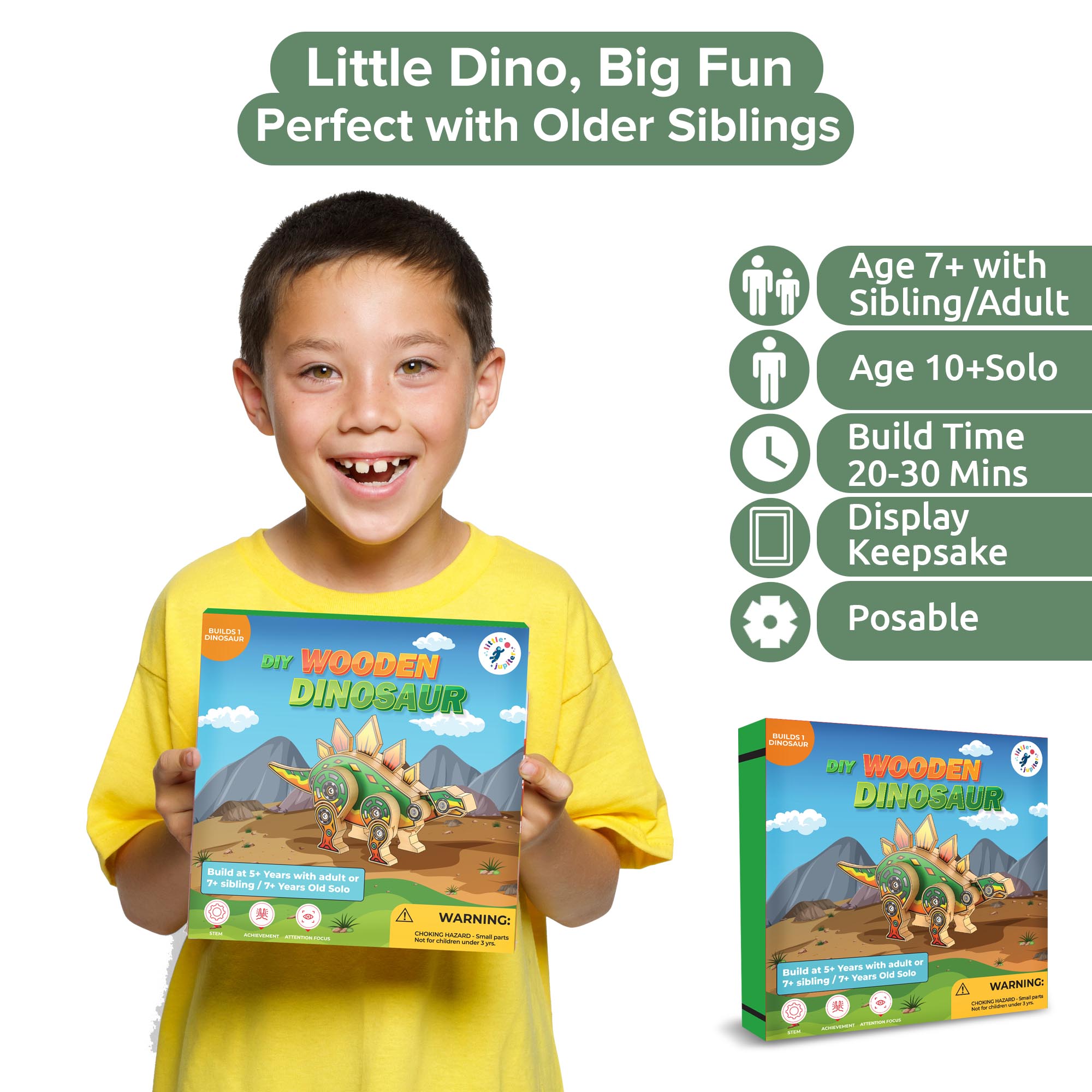 Stegosaurus_Dinosaur_-_Wood_Craft_kits_for_kids_-_image_5-no_logo
